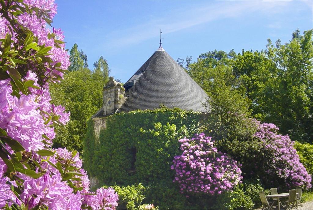 Chateau Le Val Brix Стая снимка